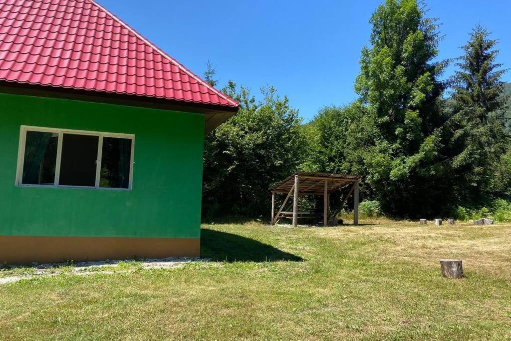 The Green House - Apuseni Mountains Vasaskőfalva Kültér fotó