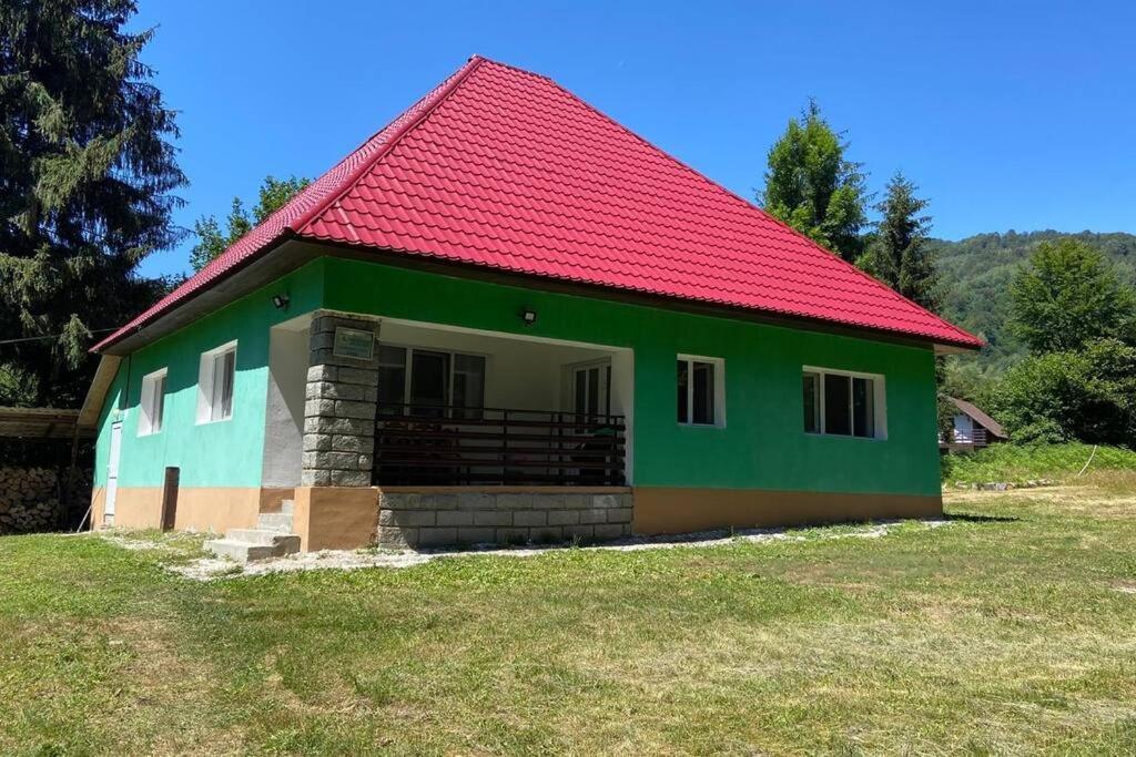 The Green House - Apuseni Mountains Vasaskőfalva Kültér fotó