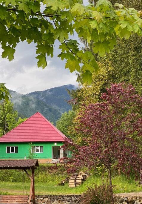 The Green House - Apuseni Mountains Vasaskőfalva Kültér fotó